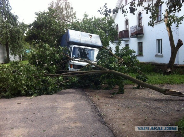 Тачки разбитые ураганом в Минске сегодня. Оригинальные отборные фото!
