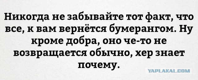 Картинки из интернета