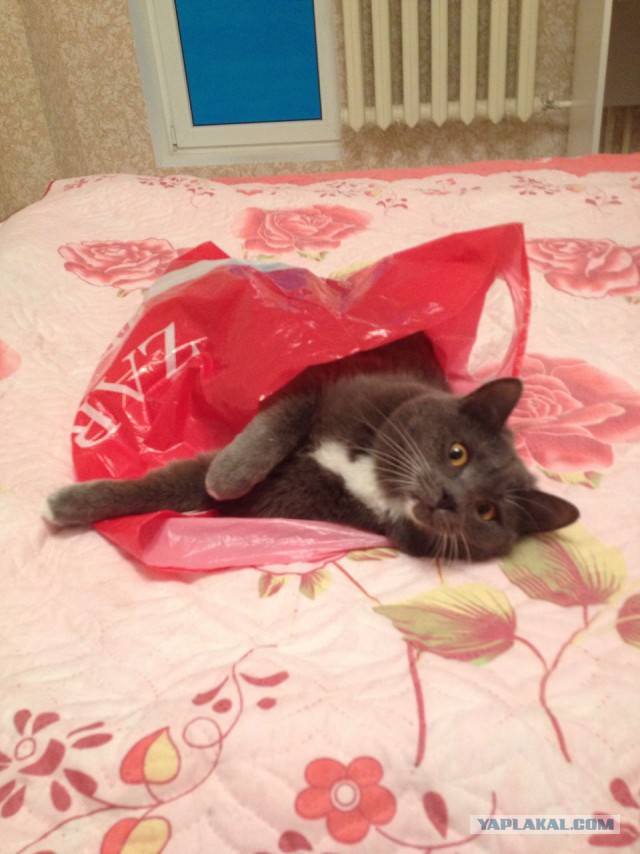 Я хочу так сидеть, не трогайте меня