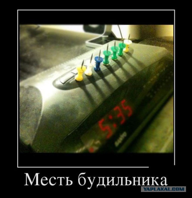 Баяны в чёрных рамках