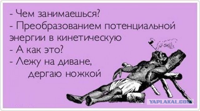 15 самых правдивых историй из жизни настоящих лентяев!