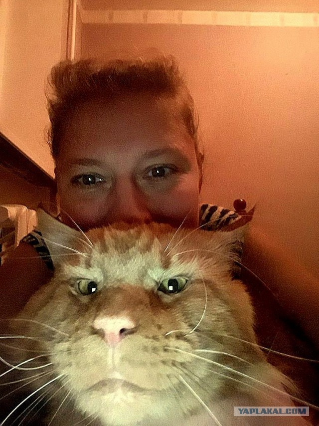 Джокер и его семья