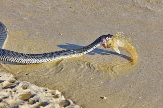 Картинка из детства