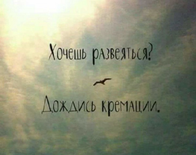 Сидите тут, развиваетесь... А деградировать кто будет?!