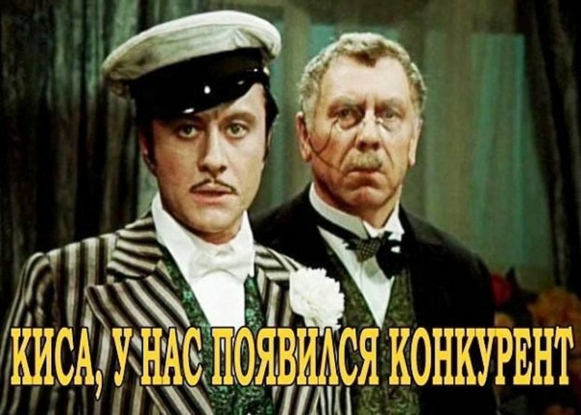 Котовторник ждали? А вот и он!