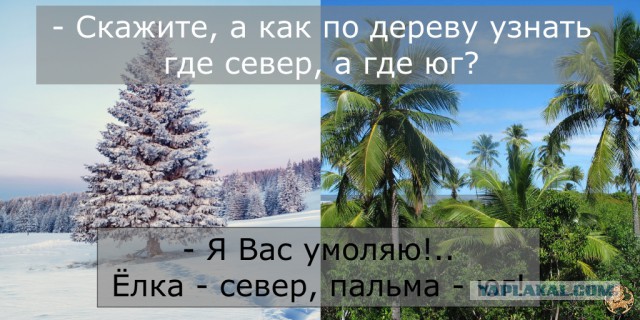 Заблудился.