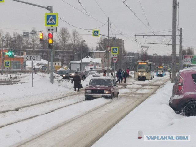Олень дня