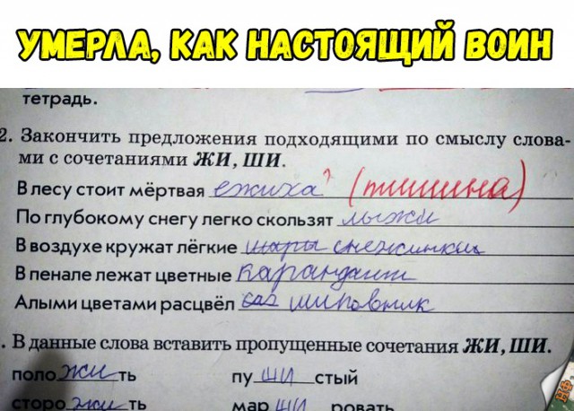 Прикольные картинки абавсём