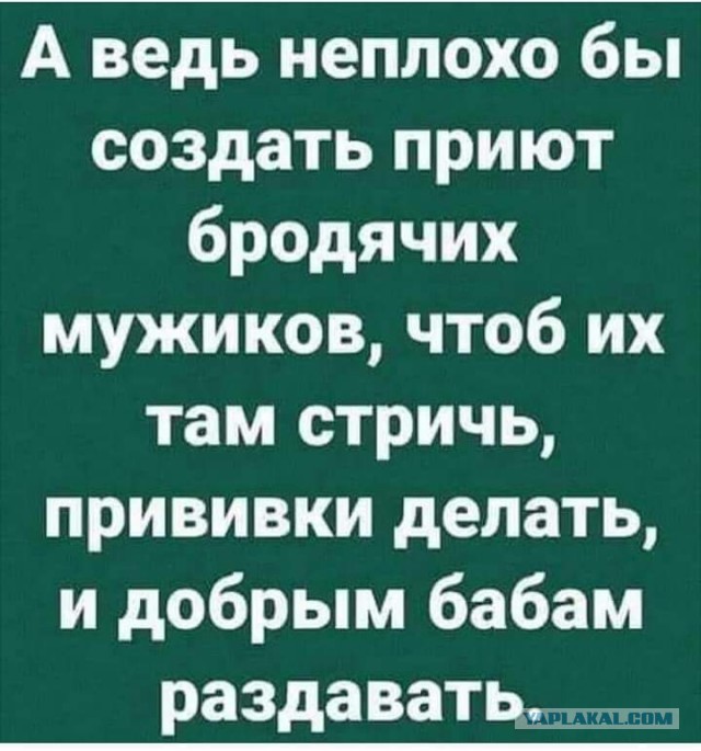 Анекдоты, соц-сети, истории и картинки с надписями