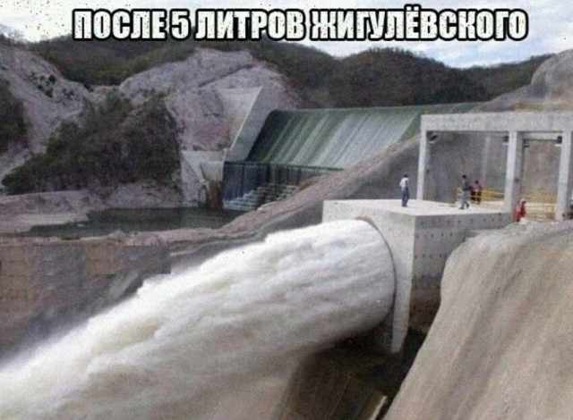 Анекдоты, соц-сети и картинки с надписями