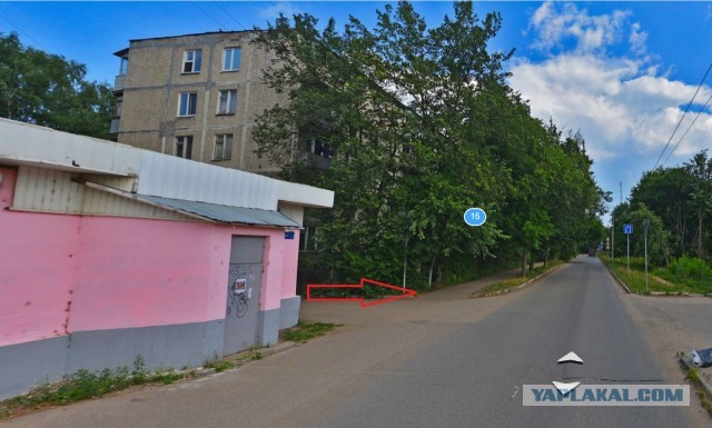 Страшные кадры из подмосковного Пушкино! Водитель легковушки не успел затормозить, когда на проезжую часть выбежали две девочки