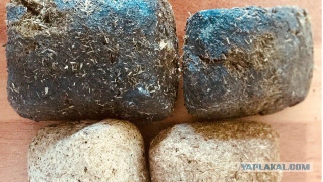 Он в норах спасал обгоревших ребят