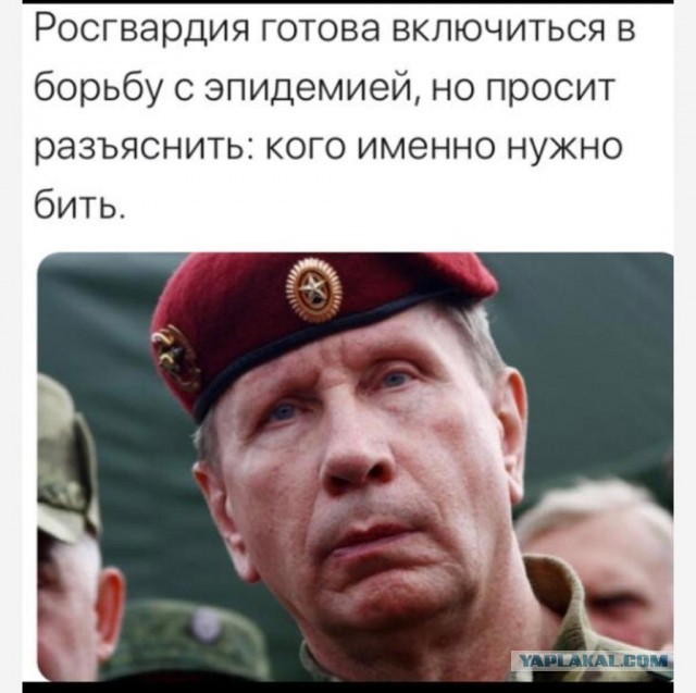 Интернет «гудит» от решения Путина продлить нерабочие дни