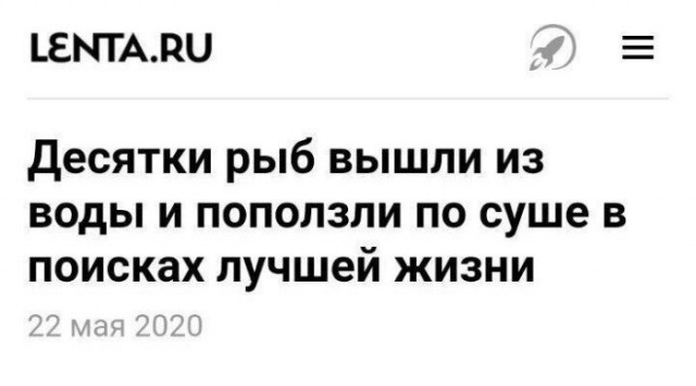 Немного картинок для настроения 28.05.20