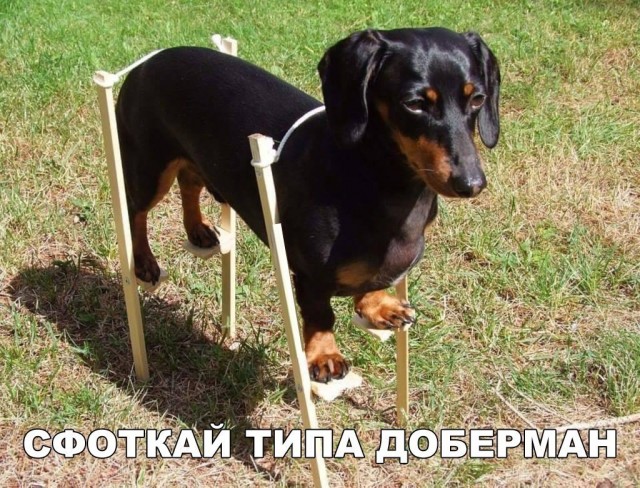 Так себе картинки 31.05.2020