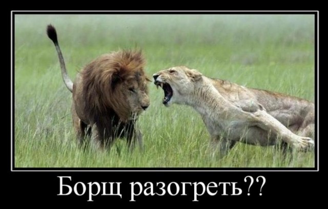 Бредзона 17.07.2020