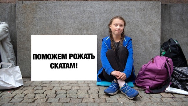Роды у ската