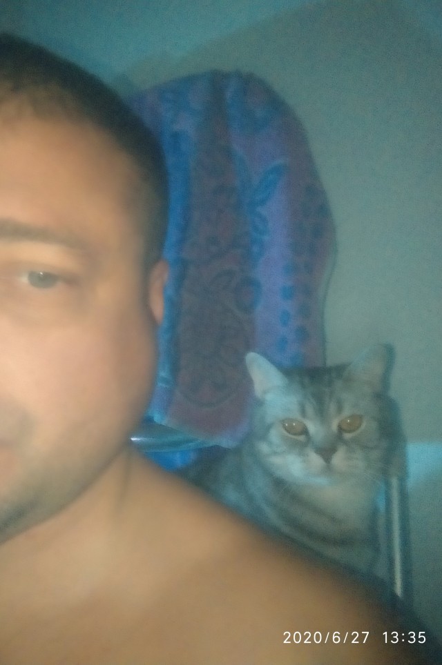 По просьбам в теме ниже. Реальный котовторник!