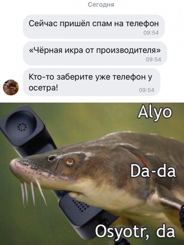 Годные картинки и не очень...