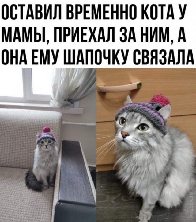 Картинки и мемы для настроения 005