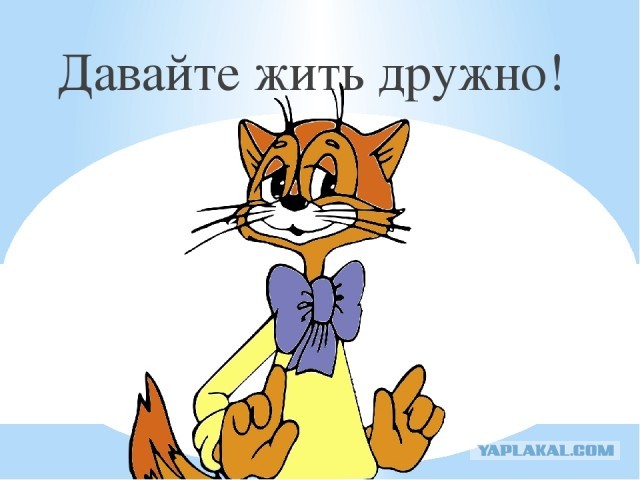 Давайте дадим женщинам ещё больше прав и защитим их от всего. К чему это приведёт?