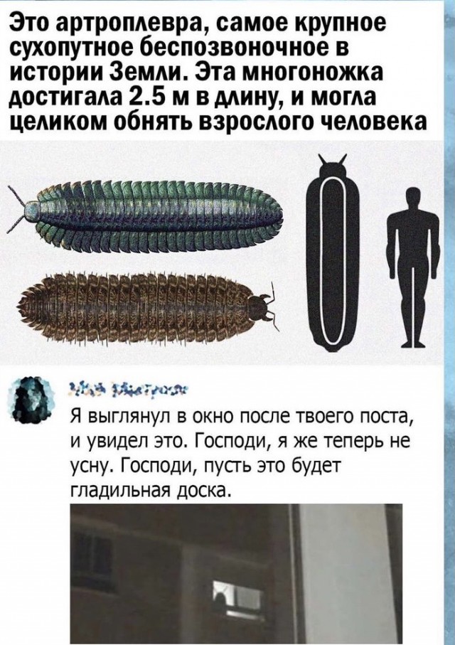 Весёлый полтишок 02.10
