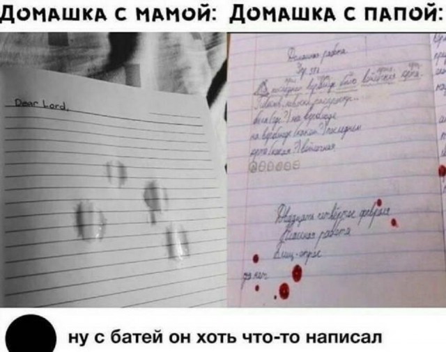 Прикольные и просто красивые картинки