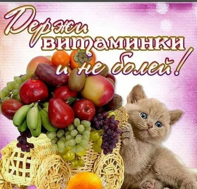 Пандемия. Коронавирус. Россия и мир. Последняя информация. Часть 25
