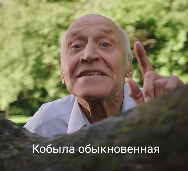 Уфф, хороша кобылка!
