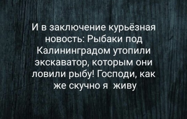 Картинки и мемы для настроения 01.12.2021