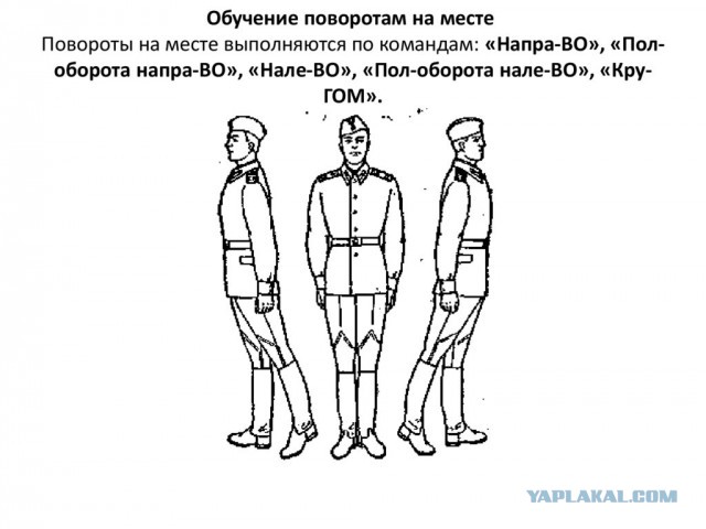 Что у них с позвоночником?