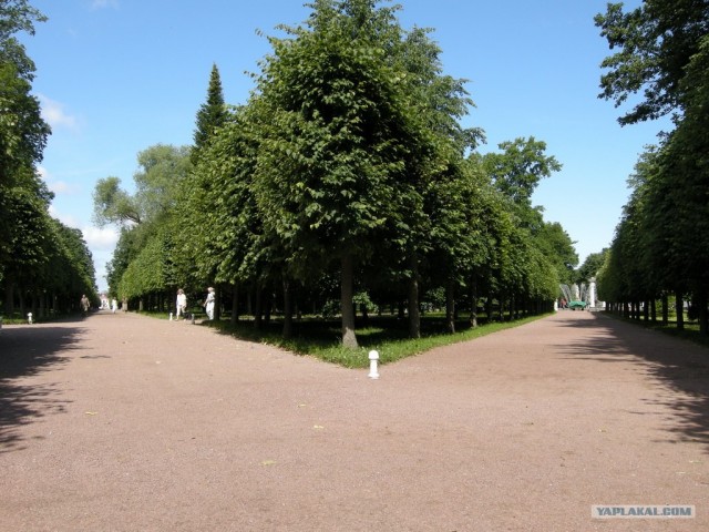 Парки и фонтаны Петергофа