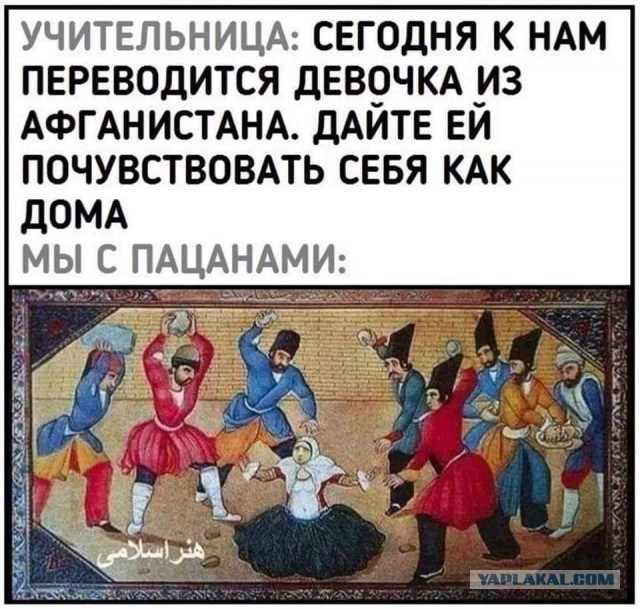 Чуток картинок 31.01.22