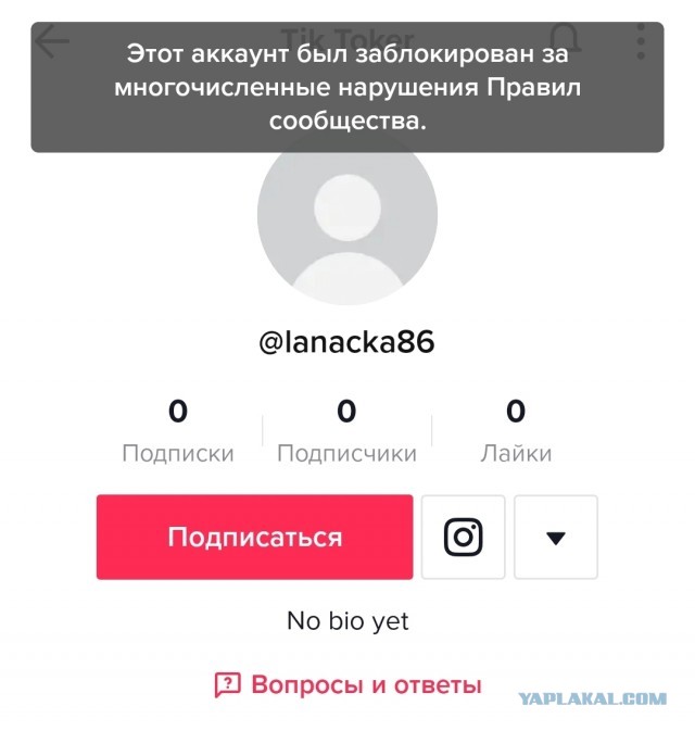 Шпиономания или самопиар тиктокерши