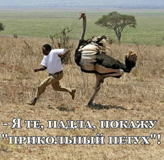Картинки с надписями и всякие жизненные фразы