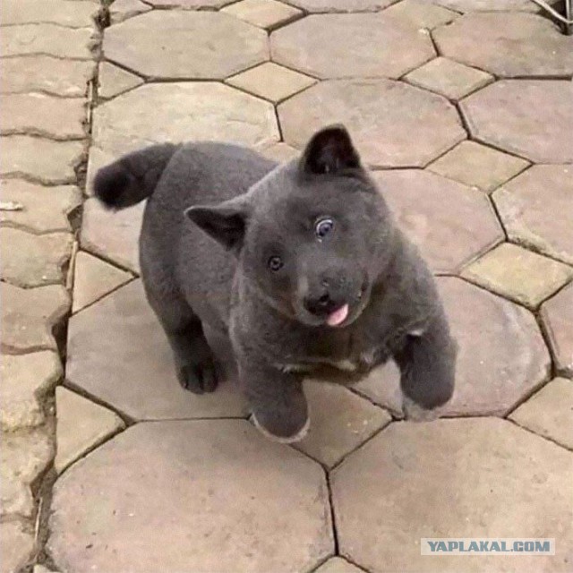 Кто это?