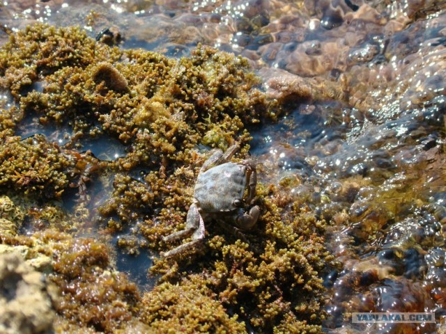 И целого мира мало!