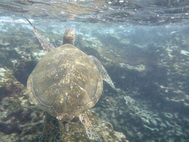 Деревенская Америка