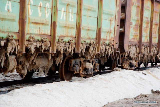 Вот в чем вся соль!