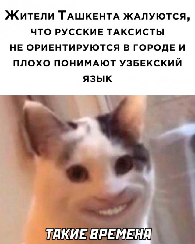 Немного картинок для настроения - 129