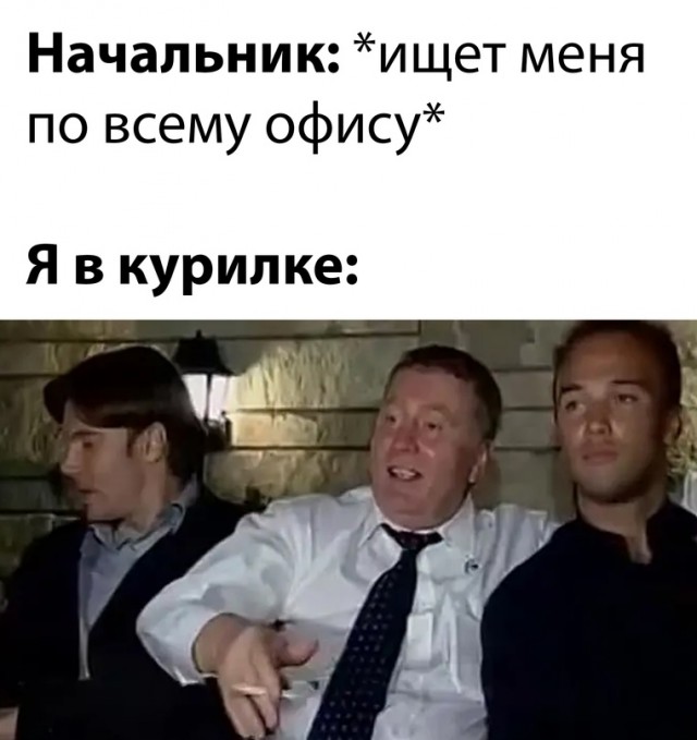 Весёлый полтишок 02.10.22