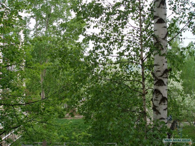 Изменения природы