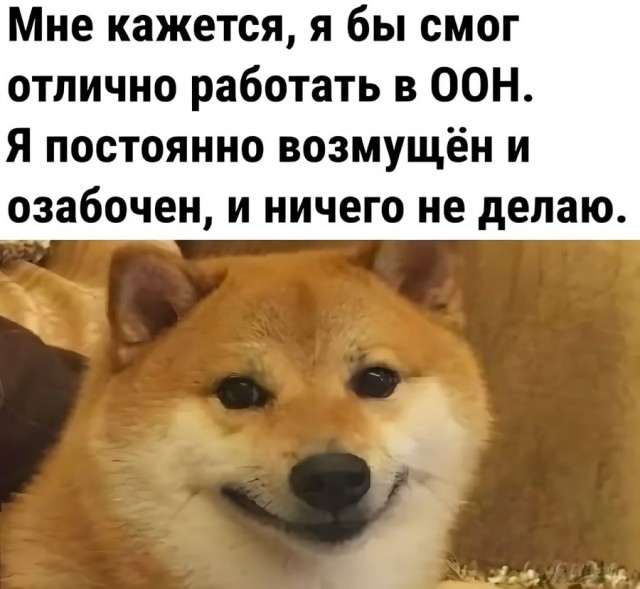 Так себе картинки 27.11.22