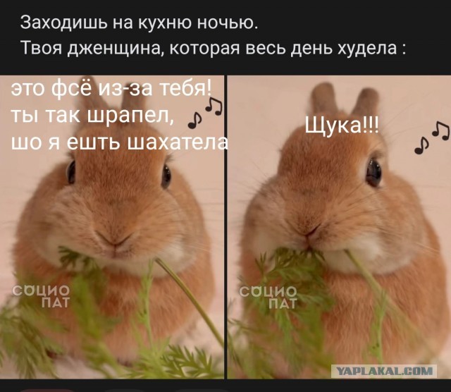Короче, поступила как мужик