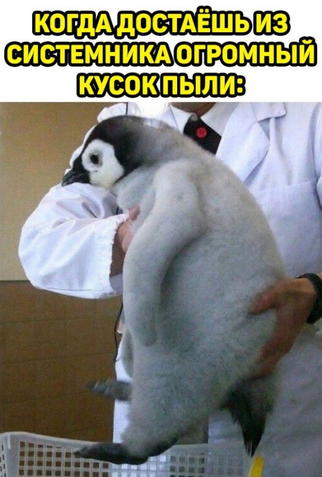 Картинки и мемы, всем хороших выходных