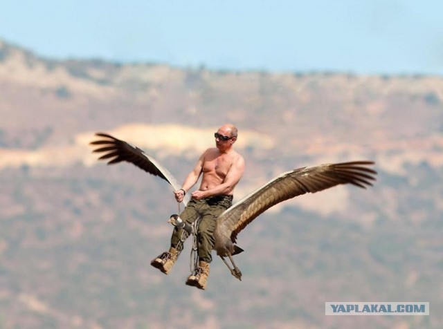 Вызов брошен)