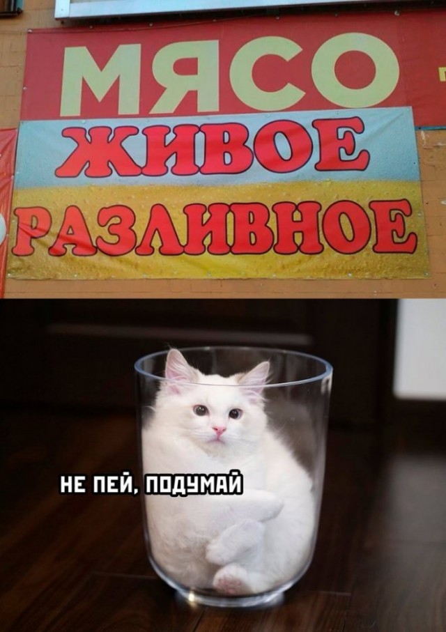 Так себе картинки 01.08.23