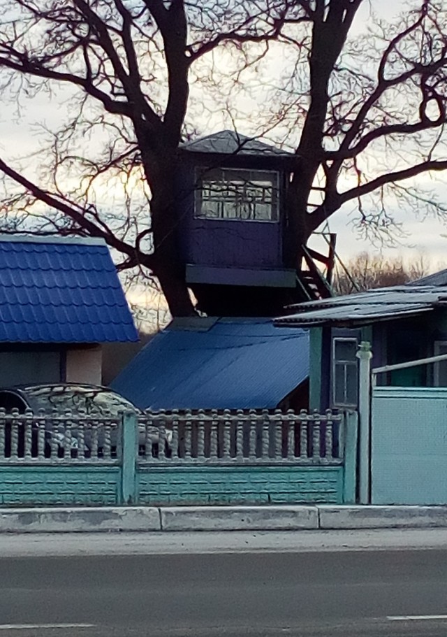 Как мы дом на дереве строили