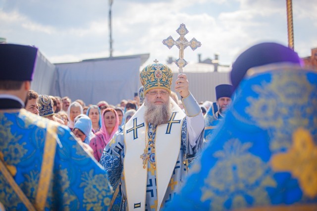 Ростовский митрополит заявил, что ЭКО — «дело противоестественное»