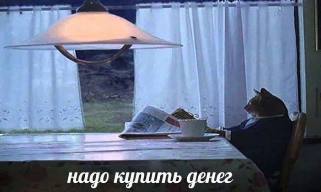 Приколы с налетом деградации